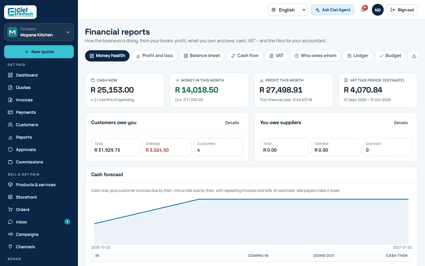 Screenshot: the profit and loss report in Books
