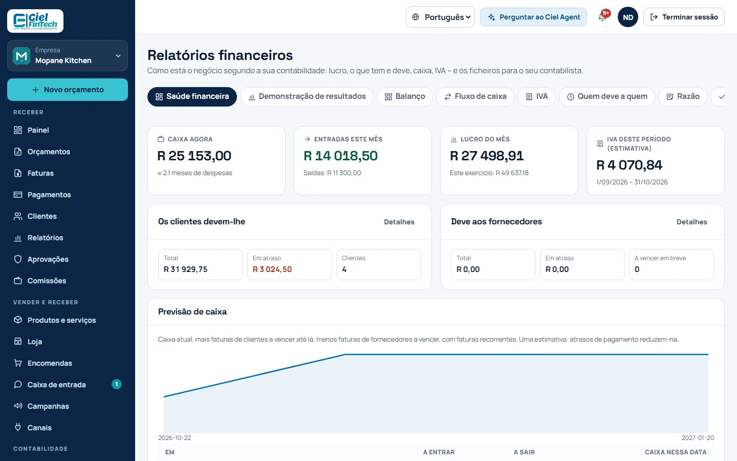 Captura de ecrã: a demonstração de resultados na contabilidade